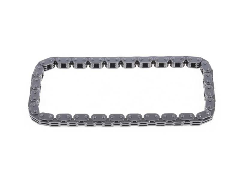 Oil pump chain